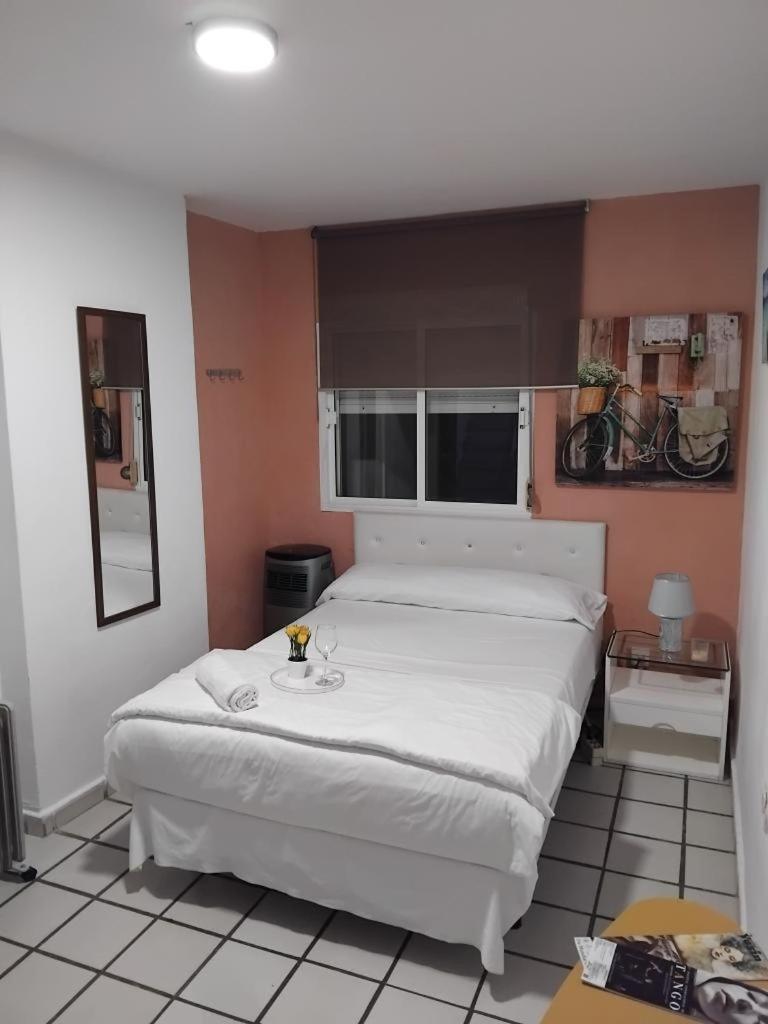 Habitacion Muy Centrica. غرناطة المظهر الخارجي الصورة